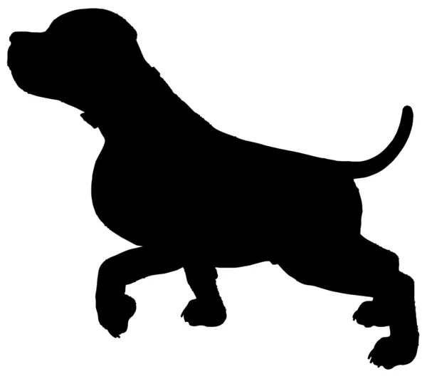 Hond silhouet vector — Stockvector