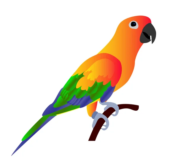 Красивый красочный попугай на белом фоне - вектор i — стоковый вектор