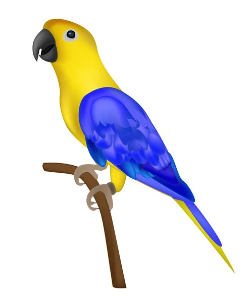 Vackra färgglada papegoja isolerad på vit bakgrund vektorer jag — Stock vektor