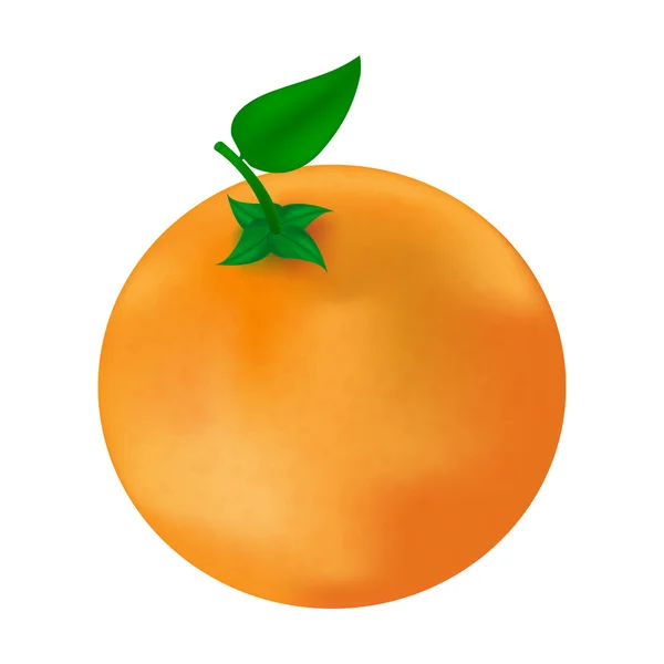 Ilustración vectorial realista de fruta naranja con hojas verdes. Aislado sobre fondo blanco — Vector de stock