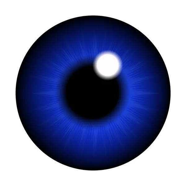 Die Pupille des Auges, der Augapfel. Realistische Vektordarstellung isoliert auf weißem Hintergrund. — Stockvektor