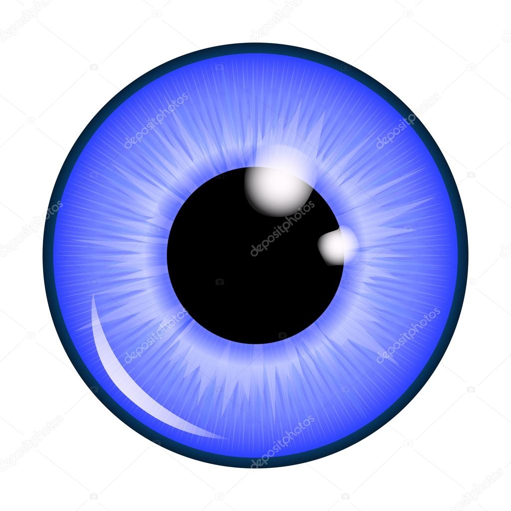 The pupil of the eye, eye ball. Realistic vector illustration isolated on white background.