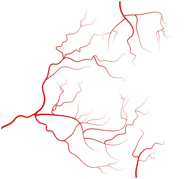 Dizi insan gözü damarlar, kırmızı kan damarları, kan sistemi. Beyaz arka plan üzerinde izole vektör çizim