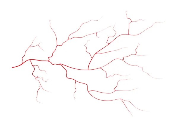 Conjunto de venas oculares humanas, vasos sanguíneos rojos, sistema sanguíneo. Ilustración vectorial aislada sobre fondo blanco — Archivo Imágenes Vectoriales