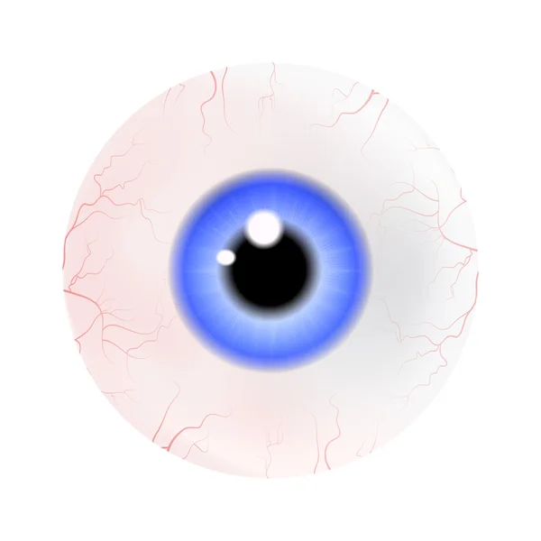 Bild einer realistischen menschlichen Augenkugel mit farbenfroher Pupille, Iris. Vektor-Illustration isoliert auf weißem Hintergrund. — Stockvektor