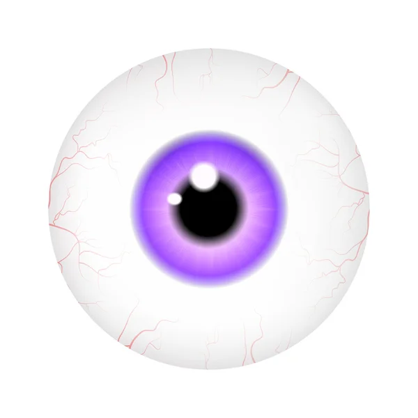 Imagen de ojo humano realista con pupilo colorido, iris. Ilustración vectorial aislada sobre fondo blanco. — Archivo Imágenes Vectoriales