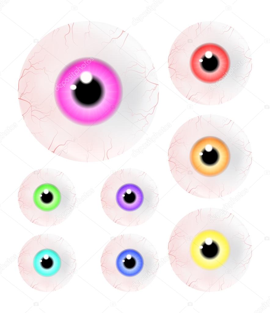 Set of realistic human eye ball with colorful pupil, iris. Vector illustration isolated on white background.