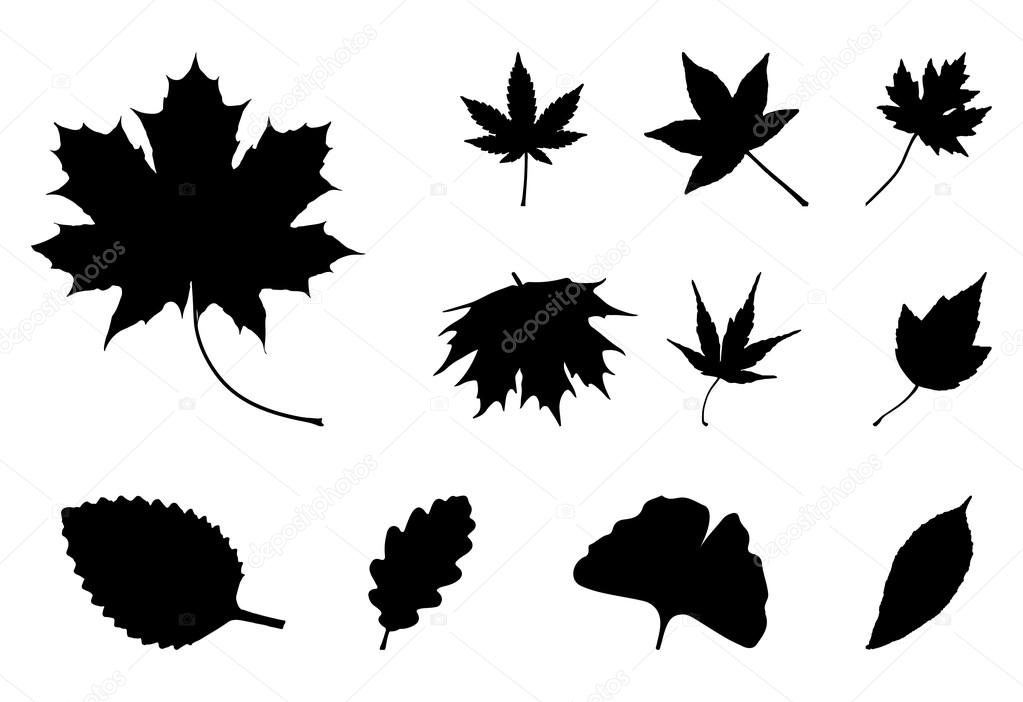 Set of Autumn leaf silhouettes, symbol, icon. Vector illustration ...