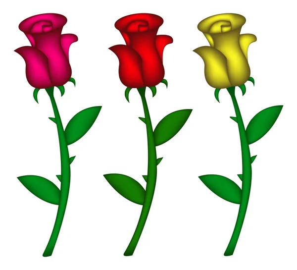 Conjunto de rosas realistas. Ilustración vectorial aislada sobre fondo blanco. Creado con herramienta de malla . — Archivo Imágenes Vectoriales