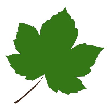 Çizgi film akçaağaç yaprağı görüntüsü. Beyaz arka plan üzerinde izole vektör çizim.