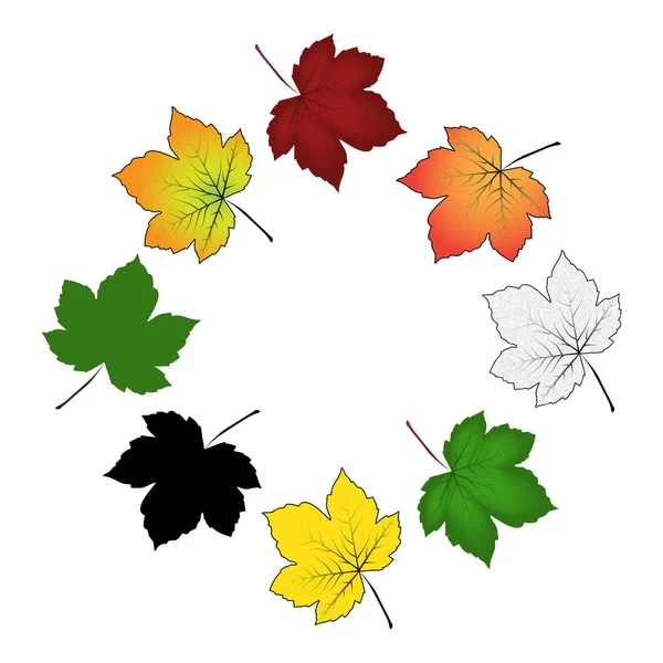 Conjunto de hojas de arce de colores. Ilustración vectorial aislada sobre fondo blanco . — Archivo Imágenes Vectoriales