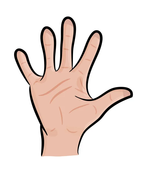 Imagen de la mano humana de dibujos animados, gesto de la palma abierta, saludando,. Ilustración vectorial aislada sobre fondo blanco . — Archivo Imágenes Vectoriales