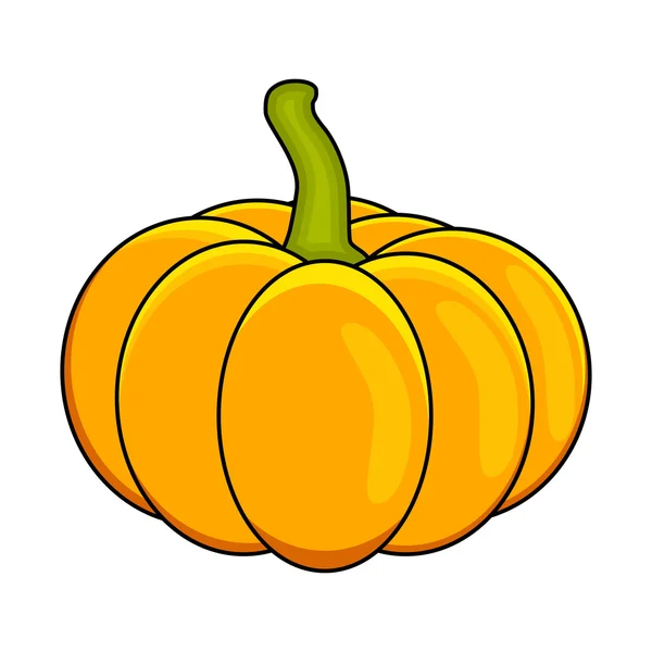 Halloween pumpkin vector illustration isolated on white background. — Stock Vector