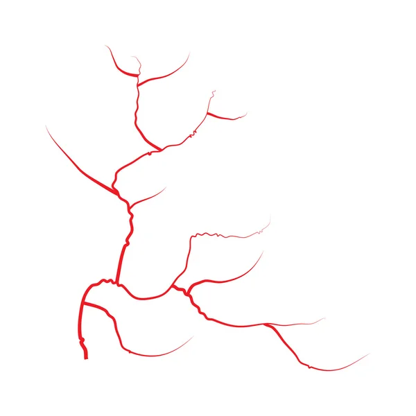 Vene oculari, vasi sanguigni rossi umani, sistema sanguigno. Illustrazione vettoriale isolata su sfondo bianco — Vettoriale Stock
