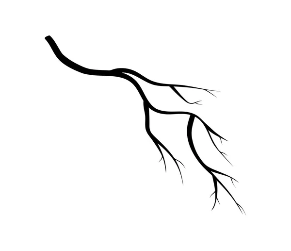 Zweigsilhouette Symbol, Symbol, Design. Vektor-Illustration isoliert auf weißem Hintergrund. — Stockvektor