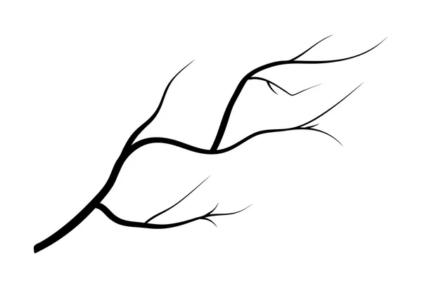 Branche silhouette icône, symbole, design. illustration vectorielle isolée sur fond blanc . — Image vectorielle