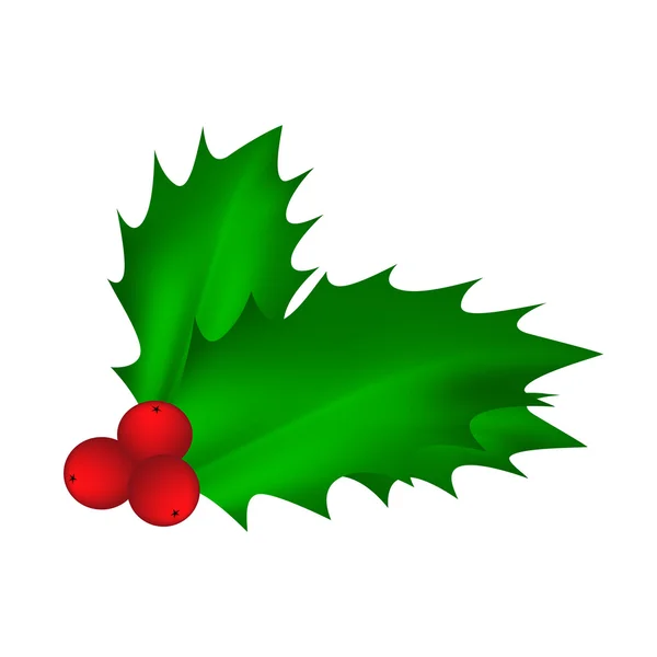 Holly bogyó, karácsonyi levelek és gyümölcsök ikon, szimbólum, design. Téli vektoros illusztráció elszigetelt fehér background. — Stock Vector