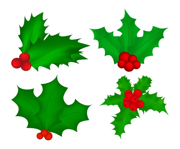 Holly berry, Kerstmis bladeren en vruchten pictogram, symbool, ontwerp. Winter vectorillustratie geïsoleerd op witte achtergrond. — Stockvector