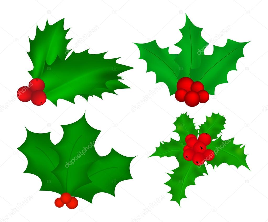 Holly berry, Christmas leaves and fruits icon, symbol, design. Winter vector illustration isolated on white background.