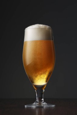 Koyu gri arka planda bir bardak bira. Yakın çekim.