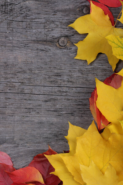 Autumn leaves on old wooden background