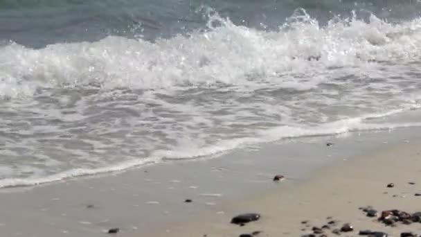 Dalga köpüğü plaj kumlu doku üzerinde bir Sandy Beach köpüklü dalgalar rulo üzerinde. — Stok video