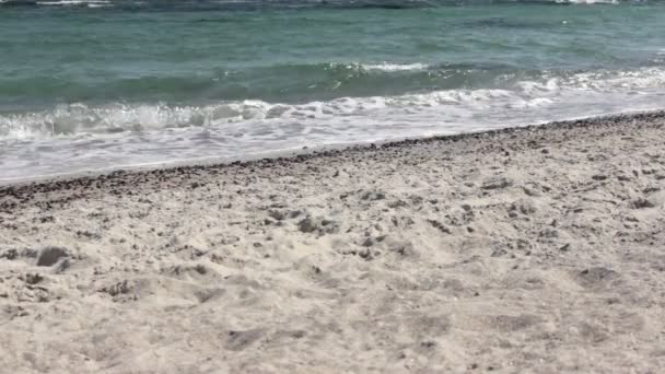 Море волн и пляж: волны с моря пляжа рвутся к побережью . — стоковое видео