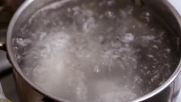 Zbliżenie Garnku Wrzącą Wodą Dodać Łyżkę Soli Gotowana Woda Solona — Wideo stockowe