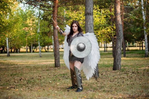 A warrior woman in chain mail with steel bracers and greaves and wings behind her back, holding a spear and a shield.