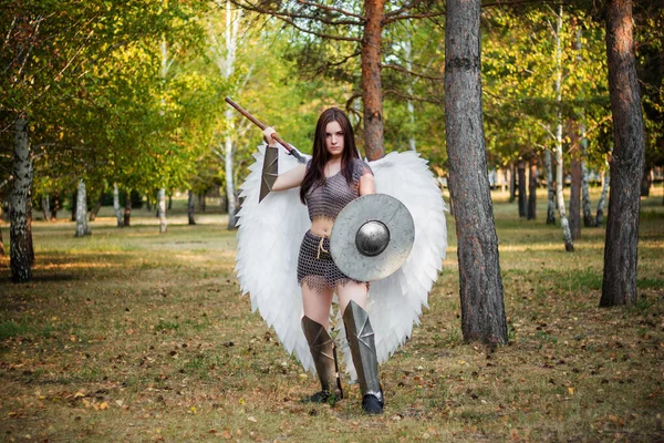 Eine Kriegerin Kettenhemd Mit Stahlstreben Und Grieben Und Flügeln Hinter — Stockfoto