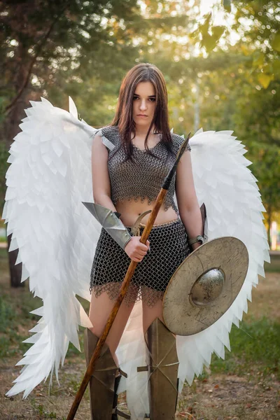 A warrior woman in chain mail with steel bracers and greaves and wings behind her back, holding a spear and a shield.