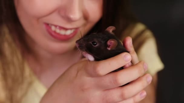 一个黑人家鼠在一个女孩手里的特写镜头一个年轻的女人抱着一只老鼠 — 图库视频影像