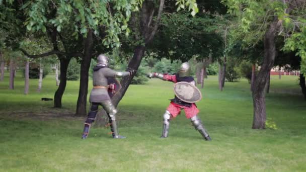 Μάχη Δύο Μεσαιωνικών Πολεμιστών Πλήρη Πανοπλία Σπαθιά Και Ασπίδες Μονομαχία — Αρχείο Βίντεο