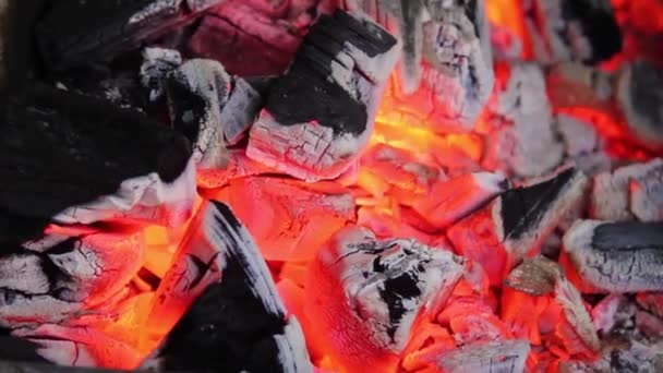 Heiße Brennende Holzkohle Grill Die Flamme Brennt Langsam Ofen Brennender — Stockvideo