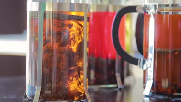 Close Herbs Floating French Press Process Brewing Tea Press Rises — Stock Video