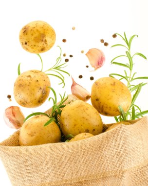 rosemary ile çuvala dışına düşen olgunlaşmış taze patates