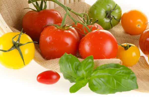 Different types of tomatoes of different colors — Stock Photo, Image