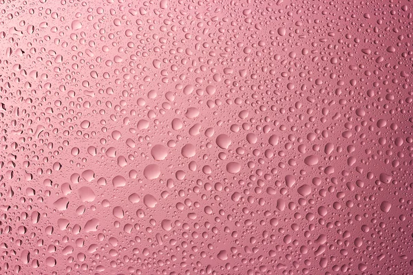 Krople wody głęboko różowy — Zdjęcie stockowe