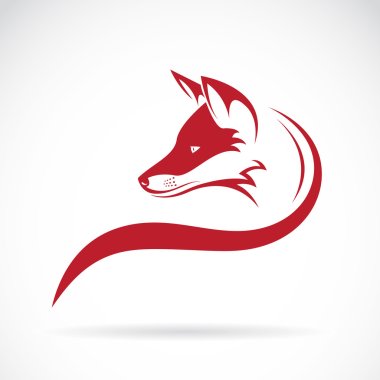 Vector image of an fox head on white background clipart