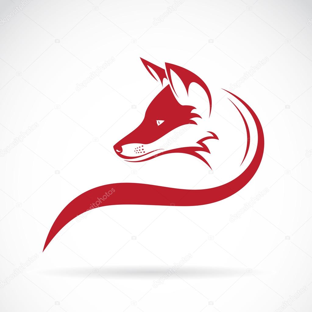 Vector image of an fox head on white background