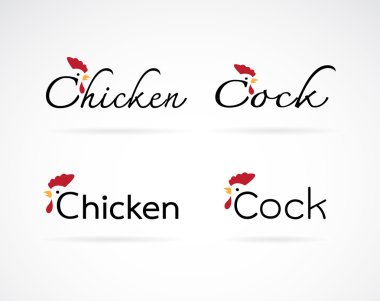 Vektör tasarımı tavuk ve penis beyaz arkaplandaki metindir.