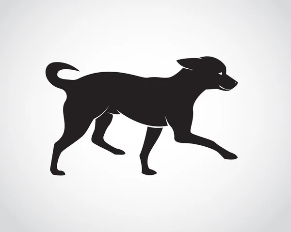 Imagen vectorial de un perro sobre fondo blanco. Chihuahua Cachorros — Vector de stock