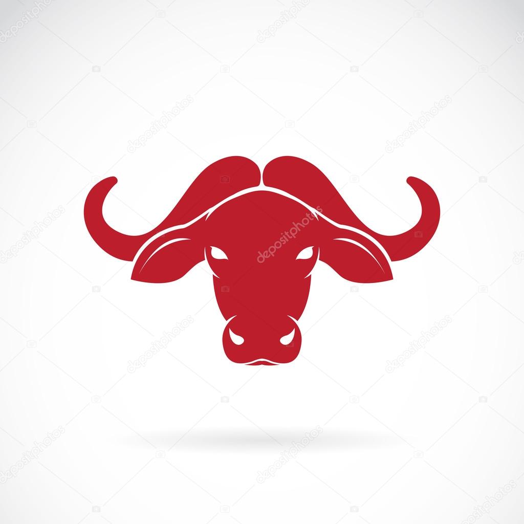 Vector image of an buffalo head on white background