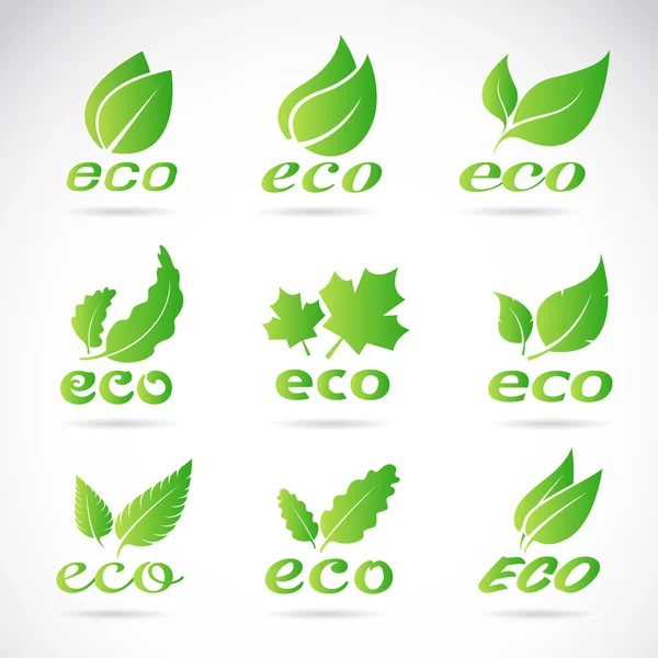 Green leaves design. Ecology icon set. Green eco icons badge vec — Stock Vector