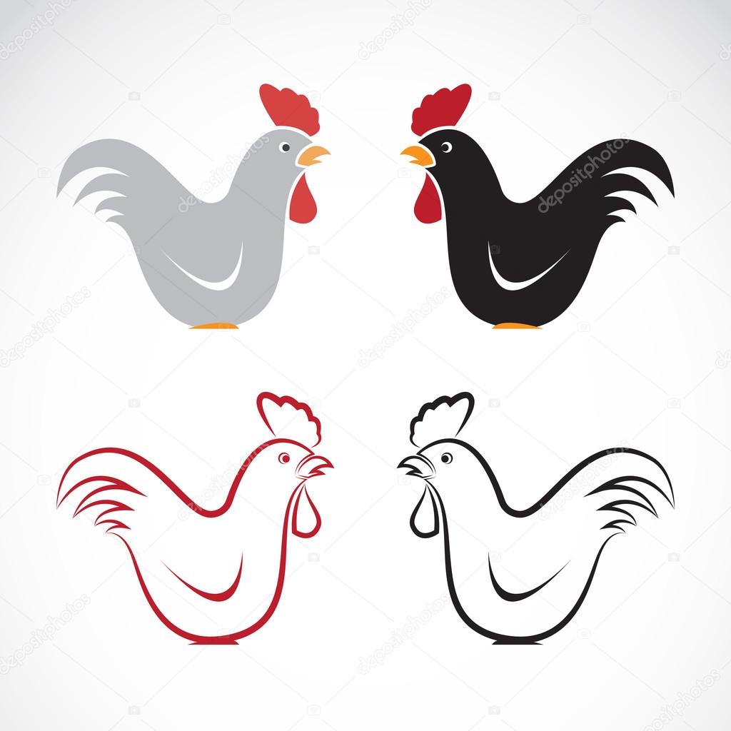 Vector image of an chicken design on white background