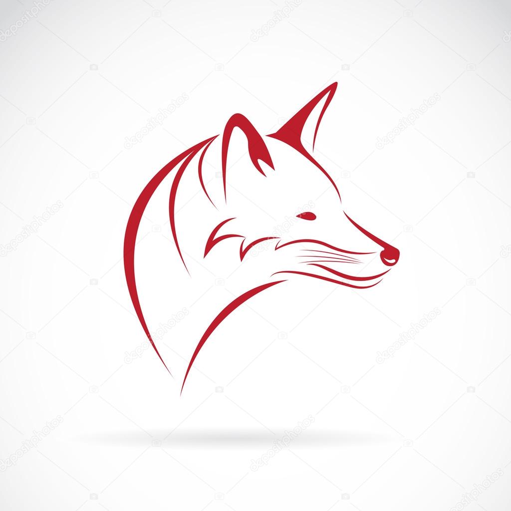 Vector image of an fox head on white background