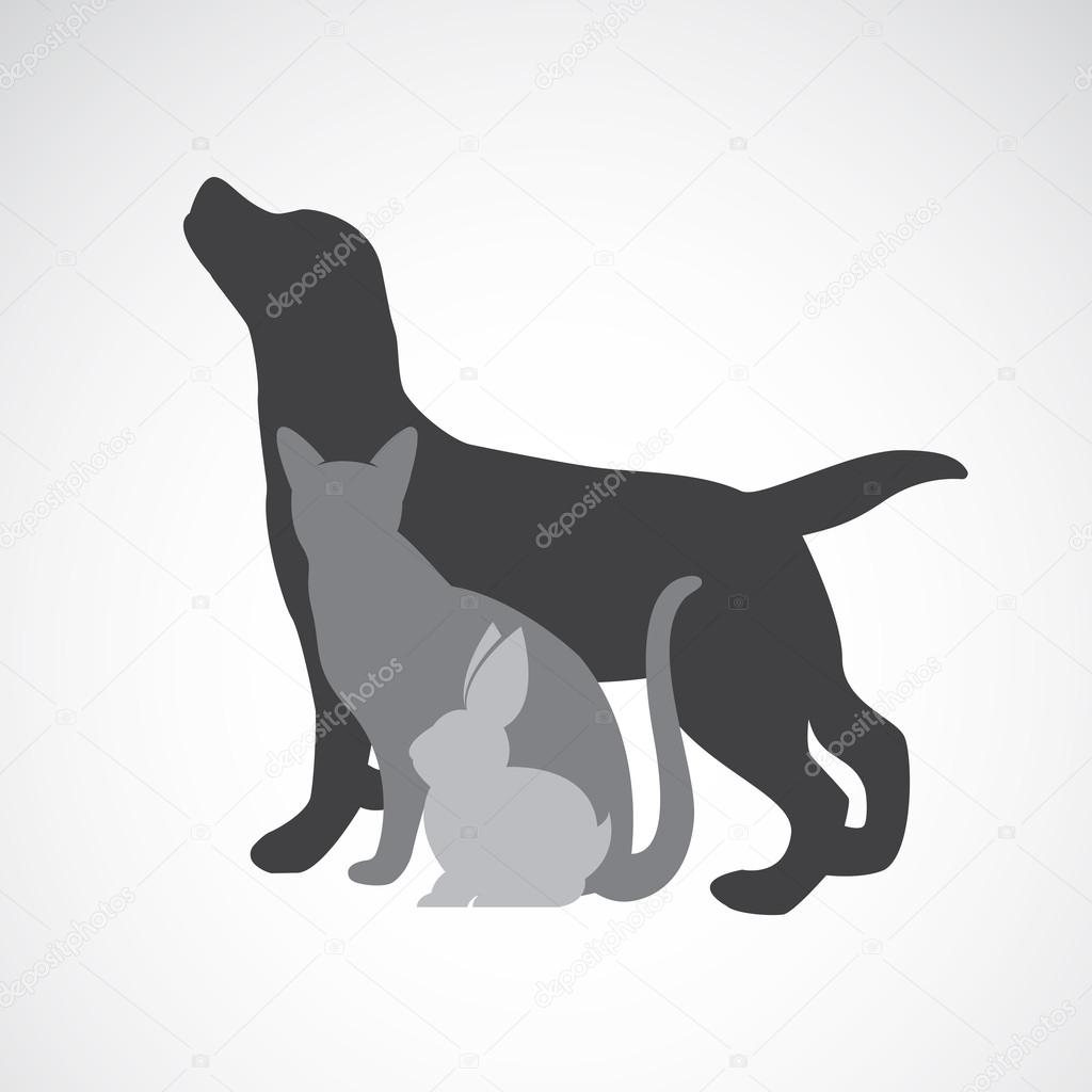 Vector group of pets - Dog, cat, rabbit, isolated on white background. Animal design