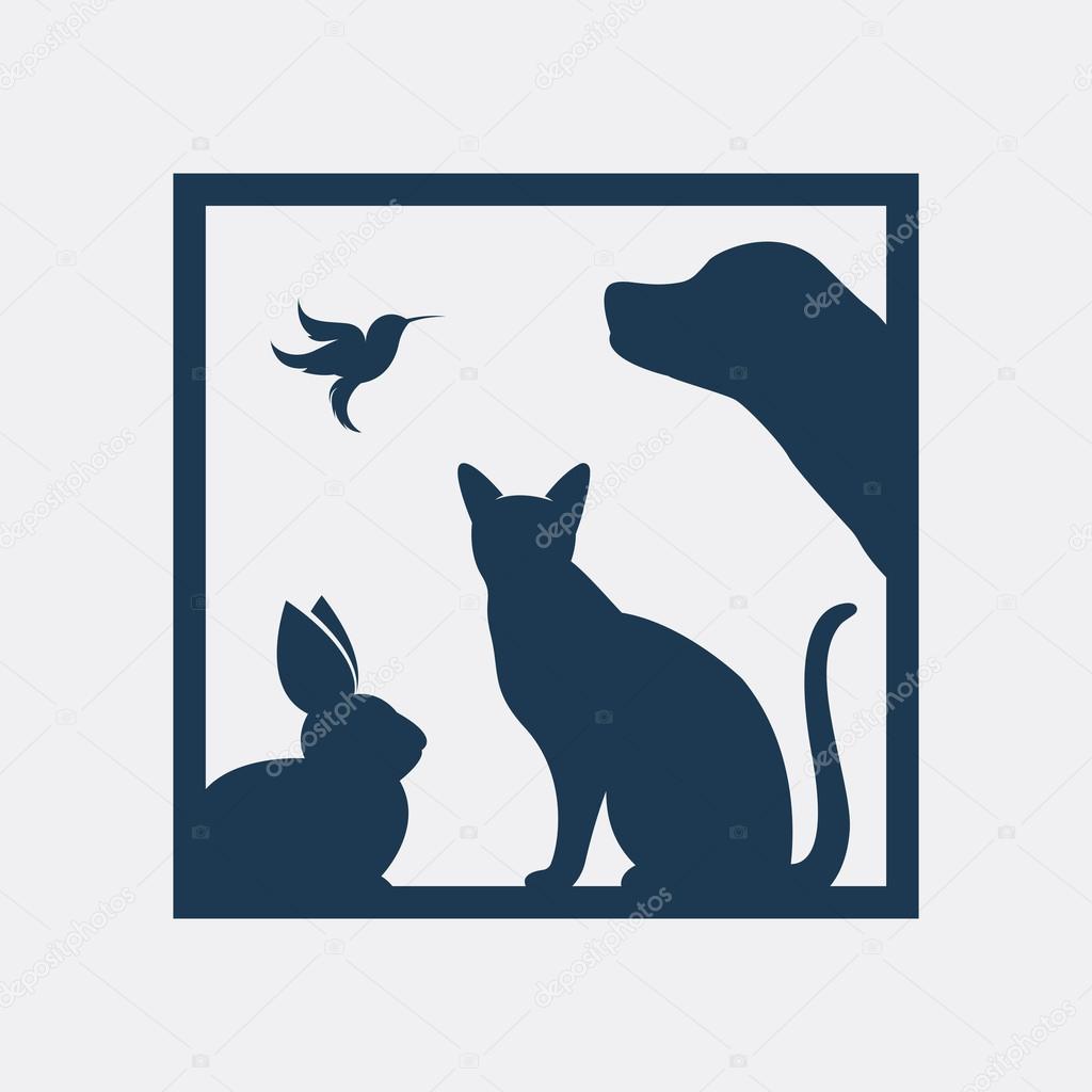 Vector group of pets in the frame - Dog, cat, bird, rabbit, Isolated on a white background