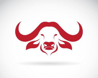 Vector image of an buffalo head on white background clipart