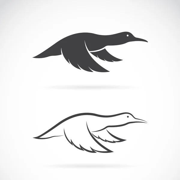 Imagen vectorial de un pato salvaje volador sobre fondo blanco — Vector de stock